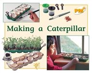Making a Caterpillar - 9780170096393
