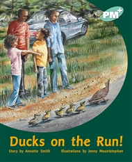 Ducks on the Run! - 9780170097543