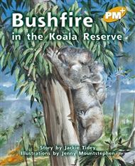 Bushfire in the Koala Reserve - 9780170098588