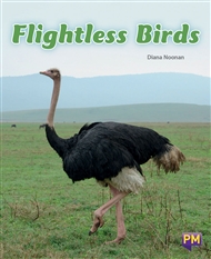 Do ostriches fly picture