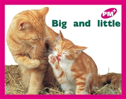 Big and little - 9780170095396