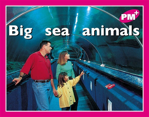 Picture of  Big sea animals