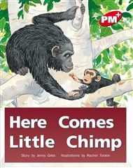 Here Comes Little Chimp - 9780170095631