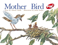Mother Bird