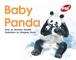 Baby Panda - 9780170095839