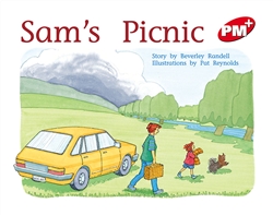 Sam's Picnic - 9780170095884