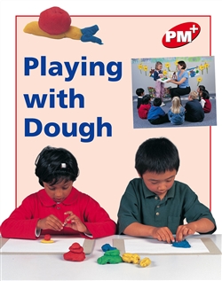 Playing with Dough - 9780170095952