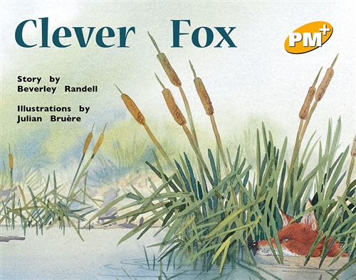 Picture of  Clever Fox