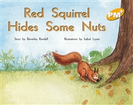 Red Squirrel Hides Some Nuts - 9780170096171