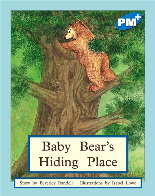 Picture of  Baby Bear's Hiding Place