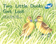 Two Little Ducks Get Lost - 9780170096584