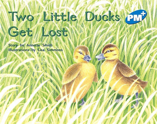 Picture of Two Little Ducks Get Lost