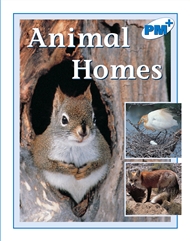 Animal Homes - 9780170096775