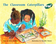 The Classroom Caterpillars - 9780170097123