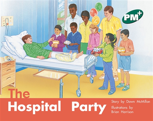 Picture of  The Hospital Party