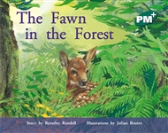 The Fawn in the Forest - 9780170097208