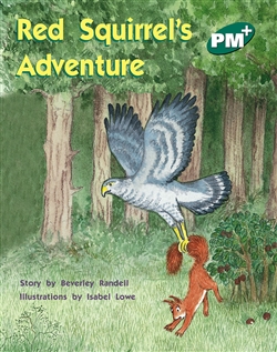 Red Squirrel's Adventure - 9780170097239