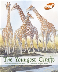 The Youngest Giraffe - 9780170097390
