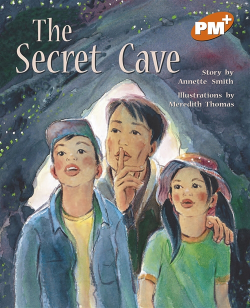 Picture of  The Secret Cave