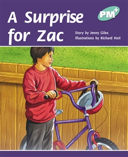 A Surprise for Zac - 9780170097482