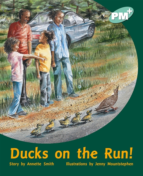 Picture of  Ducks on the Run!
