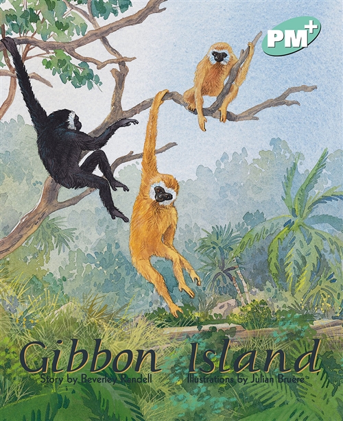 Picture of Gibbon Island