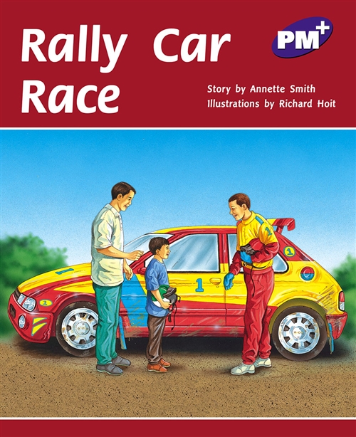 Picture of  Rally Car Race