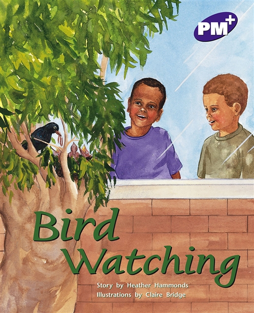 Picture of  Bird Watching