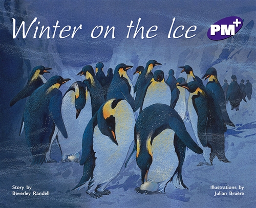 Picture of  Winter on the Ice