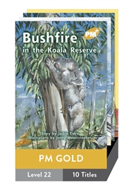 PM Plus Story Books Gold Level 22 Pack (10 titles) - 9780170098502
