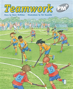 Teamwork - 9780170098885