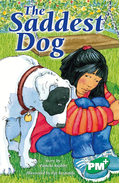 Picture of  The Saddest Dog