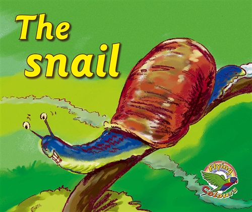 Picture of  The snail