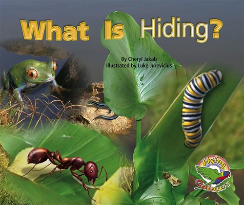 Picture of  What Is Hiding?