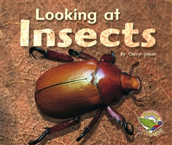 Looking at Insects - 9780170112529