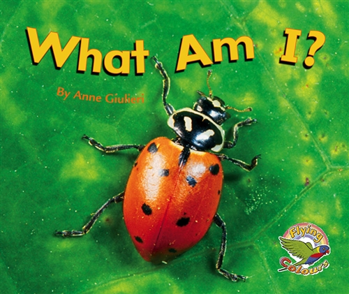 Picture of  What Am I?