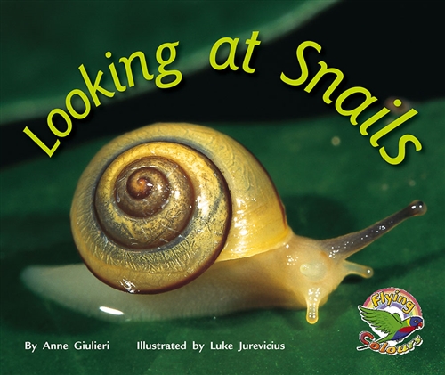 Picture of Looking at Snails
