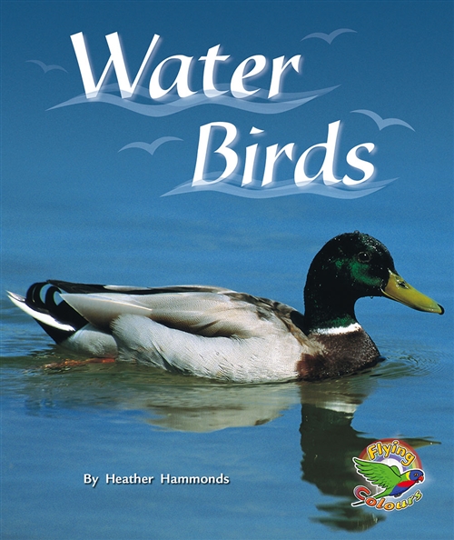 Picture of  Water Birds