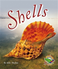 Shells - 9780170112987