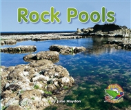 Rock Pools - 9780170113014