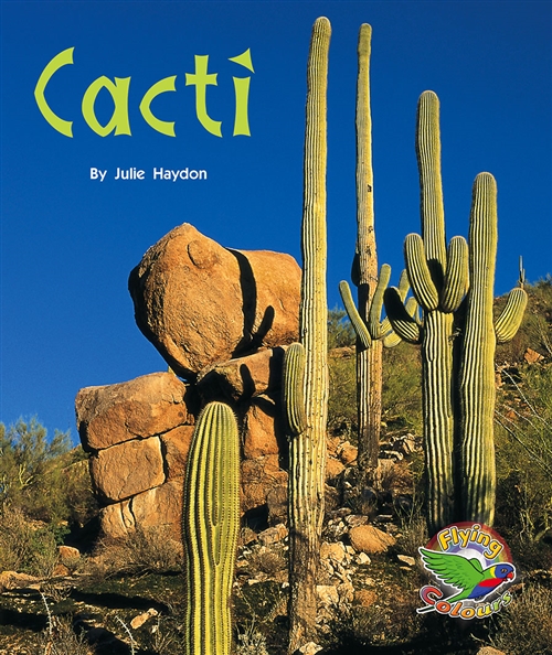 Picture of  Cacti