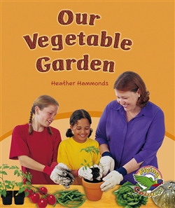Our Vegetable Garden - 9780170113199