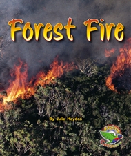 Forest Fire - 9780170113229
