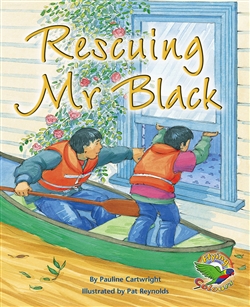 Rescuing Mr Black - 9780170115827