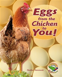 Eggs from the Chicken to You!