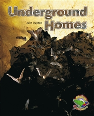 Underground Homes - 9780170120326