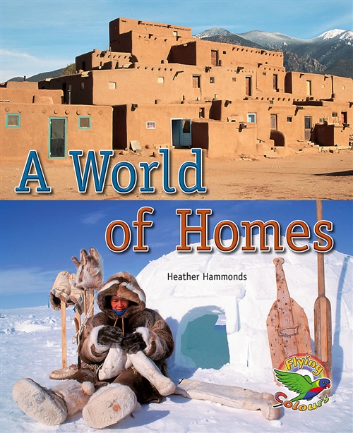 Picture of  A World of Homes