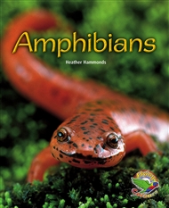 Amphibians - 9780170120739