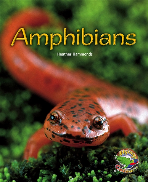 Picture of  Amphibians