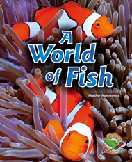 A World of Fish - 9780170120753